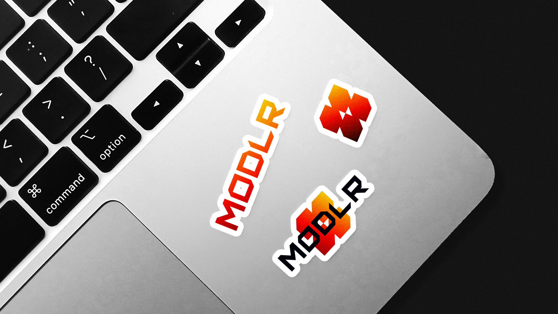 Стикеры с логотипом и знаком MODLR на ноутбуке